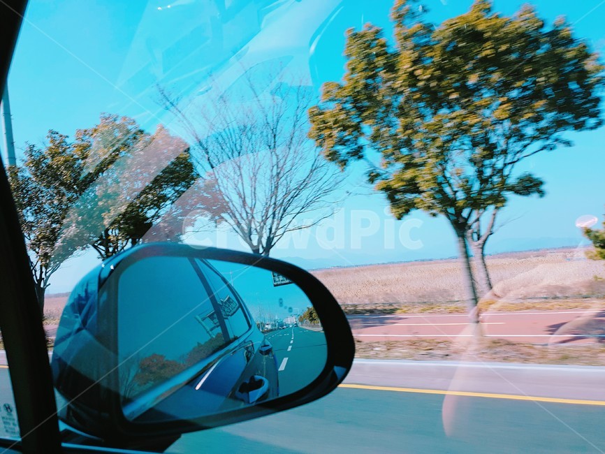 드라이브,차안,사이드미러,풍경,나무,하늘,나무들,부산경치,부산도로,부산풍경