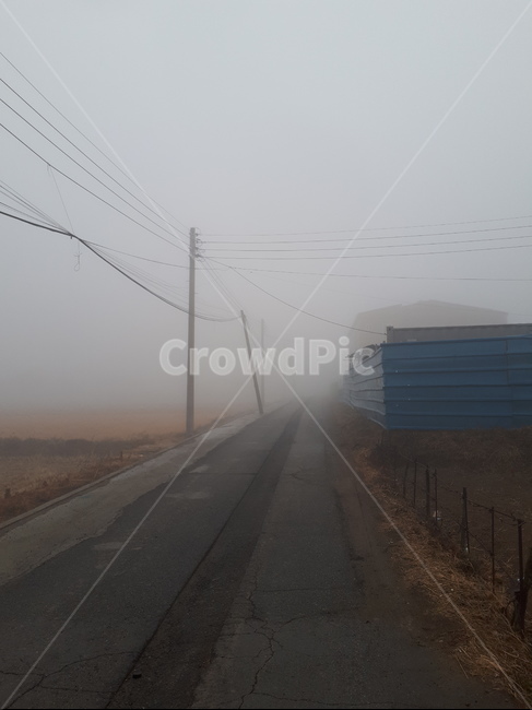 안개,도로,시골,찻길,fog,country,road,아스팔트,asphalt,논