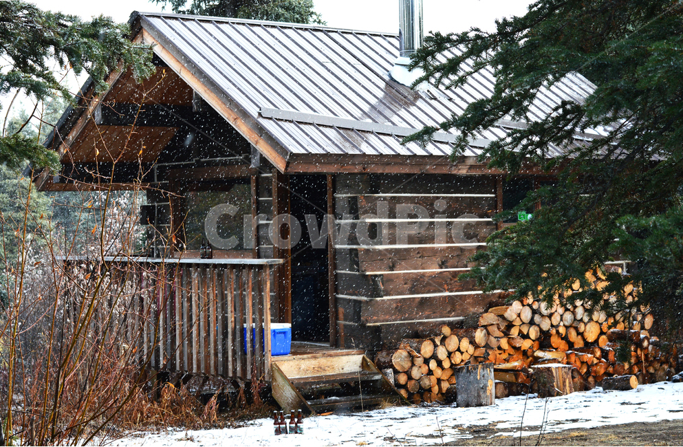 눈,산장,오두막,장작,맥주,나무,첫눈,지붕,휴가,낭만,평화로운,snow,beer,vacation,방학,산속,땔감,굴뚝,겨울,계절,winter,season,건축물,건물외관,exterior,building,structure,architecture,construction