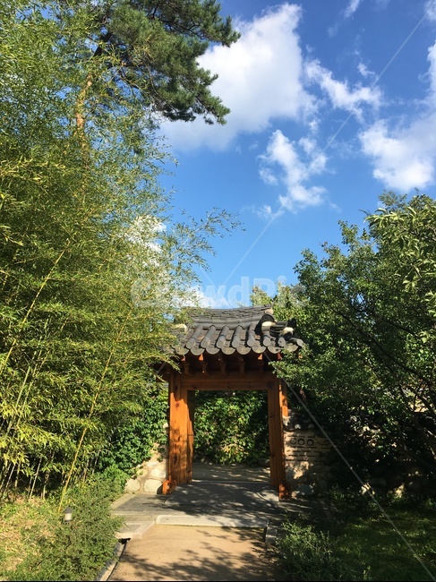 나무,구름,자연,마당,정자