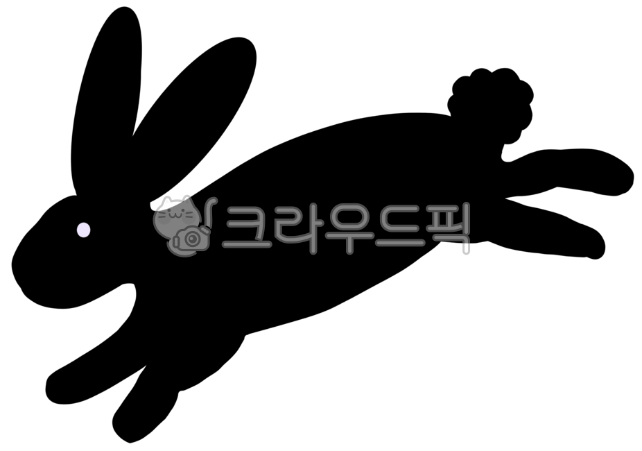 토끼,검은토끼,그림자,토끼그림자,동물,점핑토끼,섀도우,블랙레빗