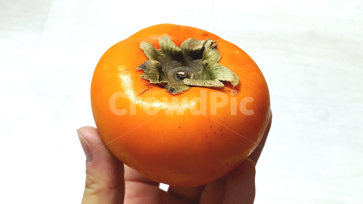 감, 단감, 과일, food, fruit, 사진,이미지,일러스트,캘리그라피 - phototo73작가