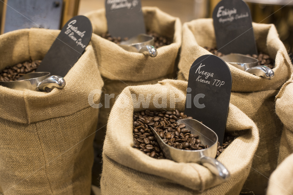 커피,커피콩,원두,카페인,커피빈,아메리카노,커피,카페,coffee,cafe