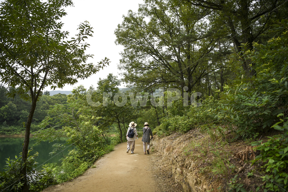 동행,친구,산책,등산,뒷모습,자연,산보