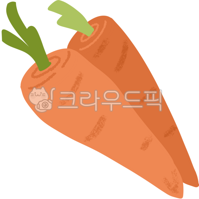 당근,토끼,건강,채소,식재료,환경
