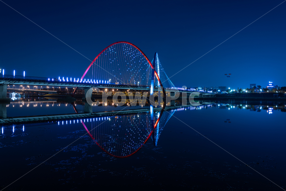 밤,야경,푸른색,엑스포다리,반영,야경,밤,풍경,nightscape,night,landscape,건축물,건물외관,exterior,building,structure,architecture,construction,bridge,다리,건물