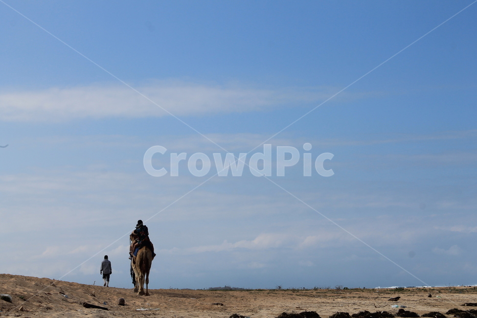 인도네시아,발리,누사두아,해변,낙타,indonesia,bali,onta,camel,camels,sky,bluesky,하늘,푸른하늘,파란하늘,자연,nature