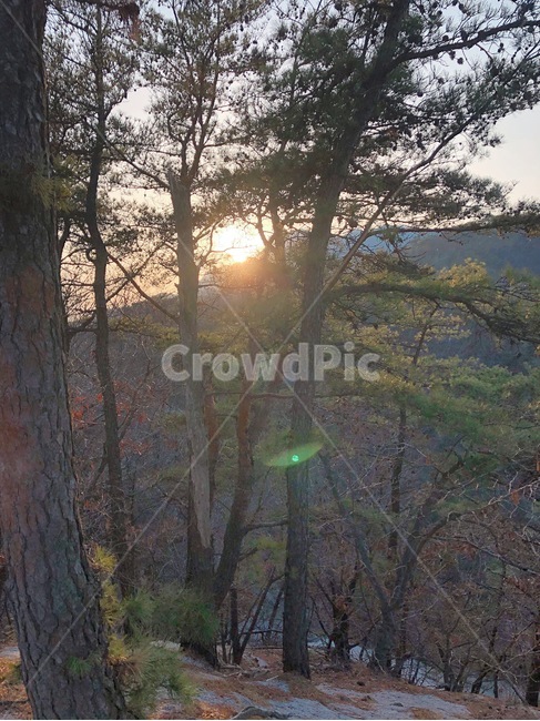 산,풍경,나무,하늘,뒷산,등산