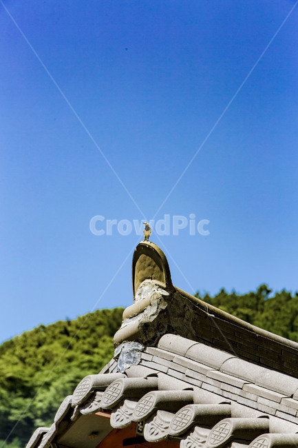 Hanok,tile roof,tile,traditional architecture,Korean meaning,building