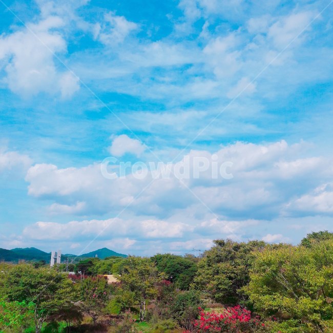 하늘,감성,구름,자연,풍경,자연,풍경,nature,landscape,outdoors,옥외,weather,날씨,cumulus,적운,cloud,sky