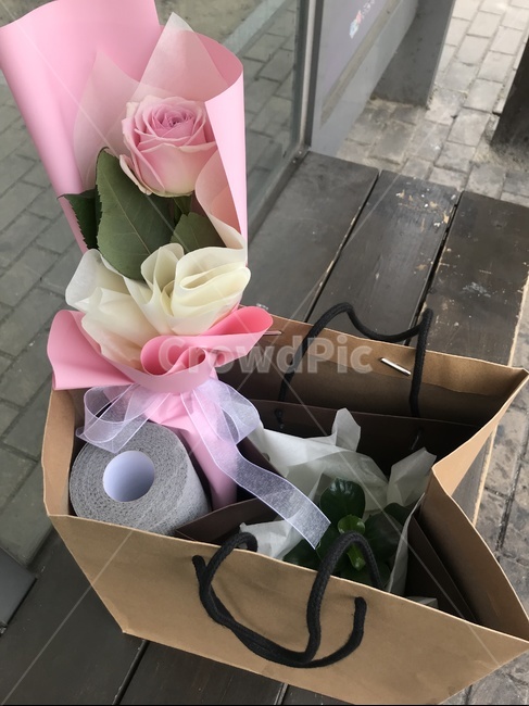 plant,식물,집들이,housewarming,party,선물,present,gift,장미,rose,종이가방,기념일,축하,anniversary,congratulation,celebrate,celebration