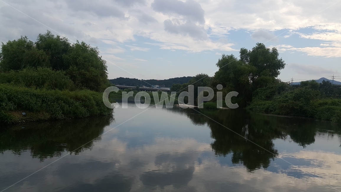 물그림자,강,하늘,자연,풍경,river
