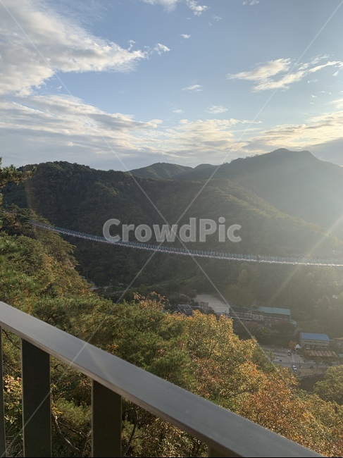 다리,출렁다리,자연,홀로,빛,난간