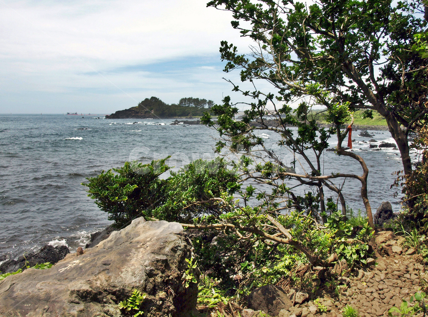 올레7코스,바당길,올레,서귀포시,해변,바다,제주,자연,풍경,nature,landscape,제주도,jeju,jeju island,land,땅,outdoors,옥외,water,물,sea,ocean,대양,shoreline,해안선