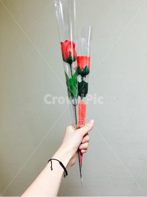꽃다발,꽃,장미,장미꽃,선물,flower
