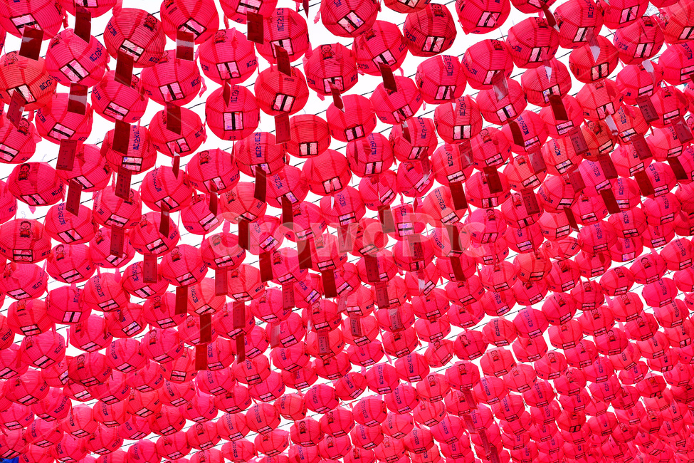 night view,color full,wish,beautiful,Buddhism,Chopail,Lotus lantern,buddhisttemple,event,brilliant,Buddhas birthday,festival,night,Sakyamuni,lotuslanternfestival,lighting,buddhism,lantern,religion,seoul,prayer,light,temple,colorful