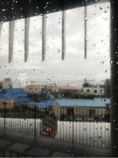 비,비오는날,비내리는,비오는창밖풍경,비오는날부산,창문에비,날씨,시골풍경,배경,비오는배경,창문밖배경,부산시골,비오는날시골