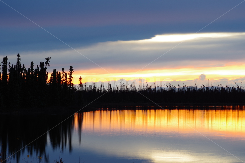 알래스카,석양,alaska,sunset,nature,자연,풍경,nature,landscape