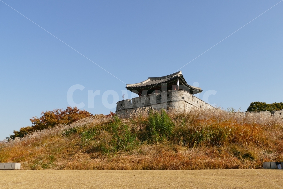 수원,화서공원,화성행궁,가을,억새,단풍,풍경,한국전통,한국문화,korean traditional,korean culture,랜드마크,landmark,tourist attraction,한국랜드마크,한국관광지,한국명소,korea landmark,korea tourist attraction,건축물,건물외관,exterior,building,structure,architecture,construction