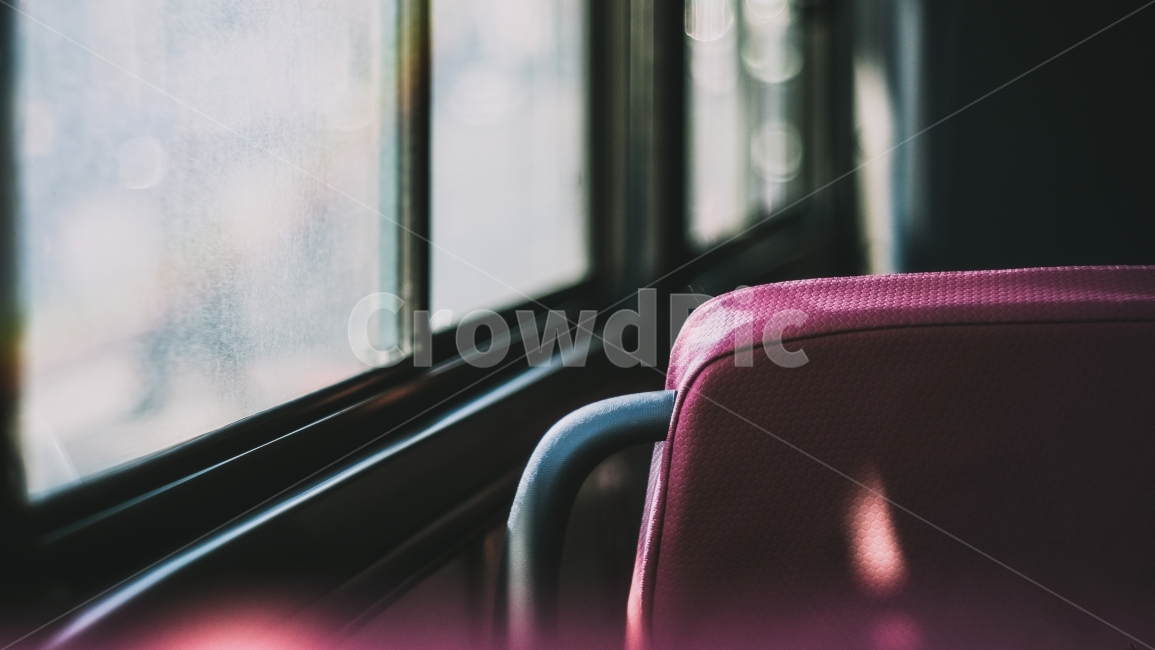 버스,분홍색,감성사진,의자,버스의자,감성,sensible,feeling,교통,교통수단,traffic,transportation,indoors,옥내,interior design,인테리어 디자인