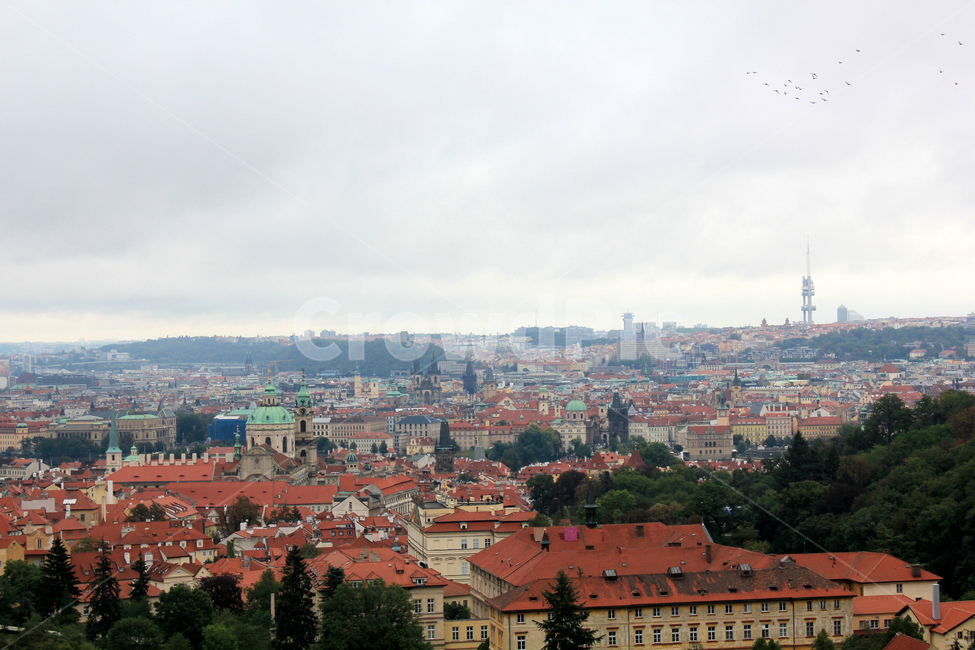 동유럽,체코,프라하,도시,도시풍경,도심전경,빨간지붕,prague,도시,풍경,city,landscape,해외,외국,세계,foreign,oversea,world,세계도시풍경,해외도시풍경,외국도시풍경,world cityscape,outdoors,옥외,nature,자연,경치,roof,지붕