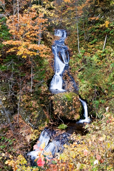 가을,단풍,폭포,나무,물,산,만추,낙엽,가을,계절,fall,autumn,season,자연,풍경,nature,landscape,water,outdoors,옥외,river,강,waterfall