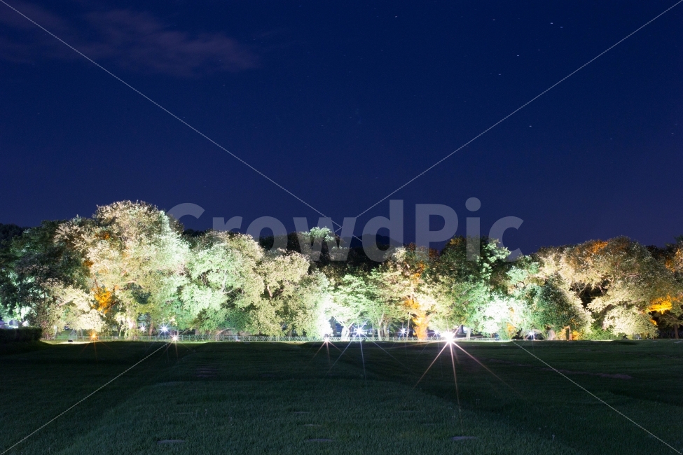 경주야경,야경,빛갈라짐,풍경,천문대야경,자연,풍경,nature,landscape,야경,밤,nightscape,night,light,빛,flare,플레어