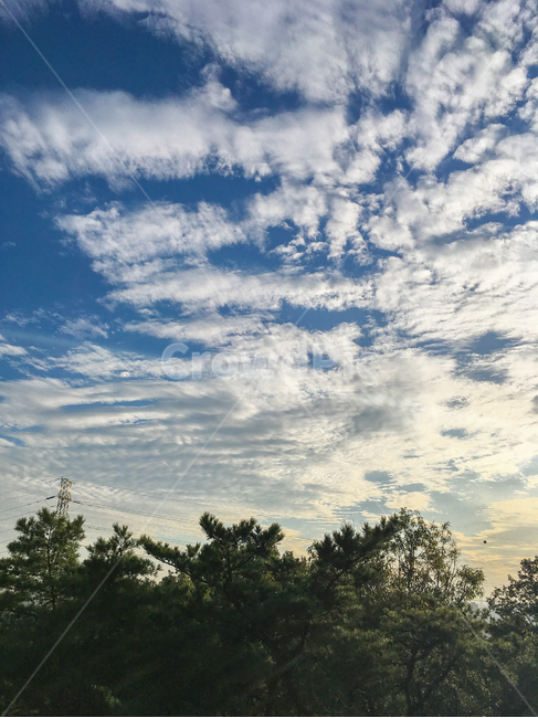 권적운,하늘,구름떼,노을,구름,nature,자연,outdoors,sky
