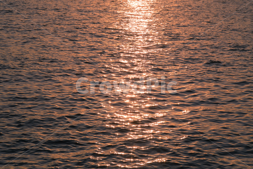 바다,파도,물결,노을,햇빛,반사,황금빛,자연,물,sea,beach,nature,outdoors,sunlight,reflection,감성,힐링,sunser,heeling,옥외,자연,풍경,nature,landscape