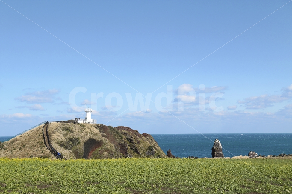 제주도,등대,하늘,구름,바다,풀,자연,풍경,풍경사진,여행,Island,sky,sea,자연,풍경,nature,landscape,등대,lighthouse,제주도,jeju,jeju island,outdoors,옥외,grassland,목초지,field,들,slope,경사
