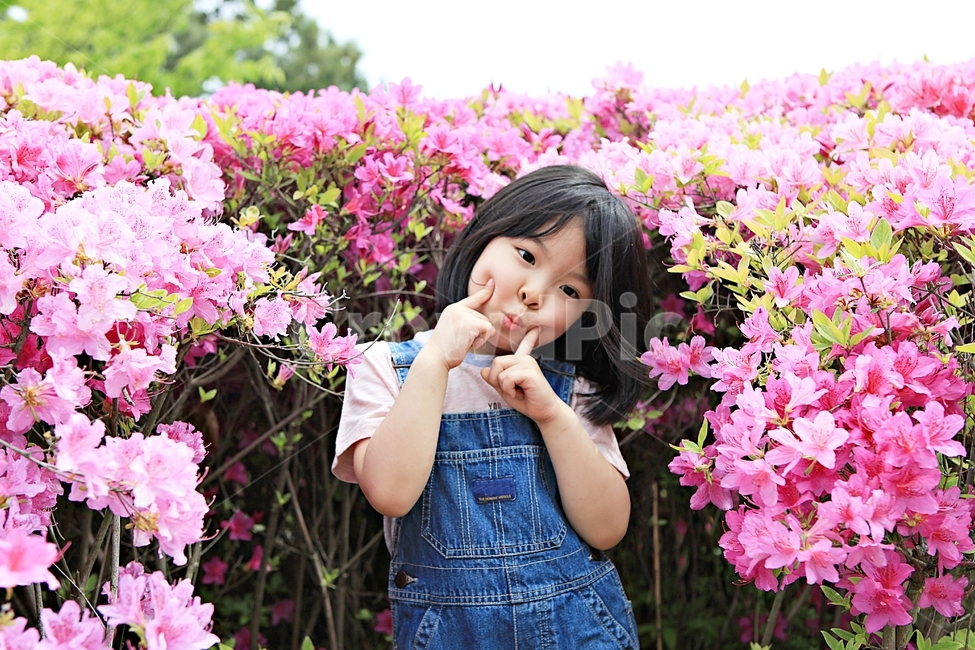 여자아이,아이,어린이,사람,자연,배경