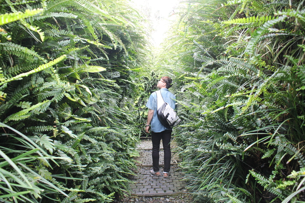 남자뒷모습,garden,정원,outdoors,옥외,human,인간,person,사람,숲,숲속,tree,나무,풀,green,미로,뒷모습,vietnam,danang,베트남,다낭,여행,다낭여행,베트남여행,사람,인물,인간,human,person,남성,남자,man,male