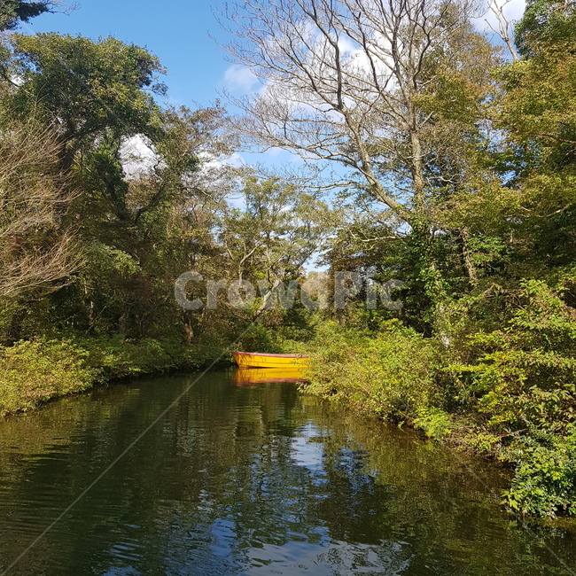 배,노란배,호수,자연,풍경,yellow,boat,자연,풍경,nature,landscape,outdoors,옥외