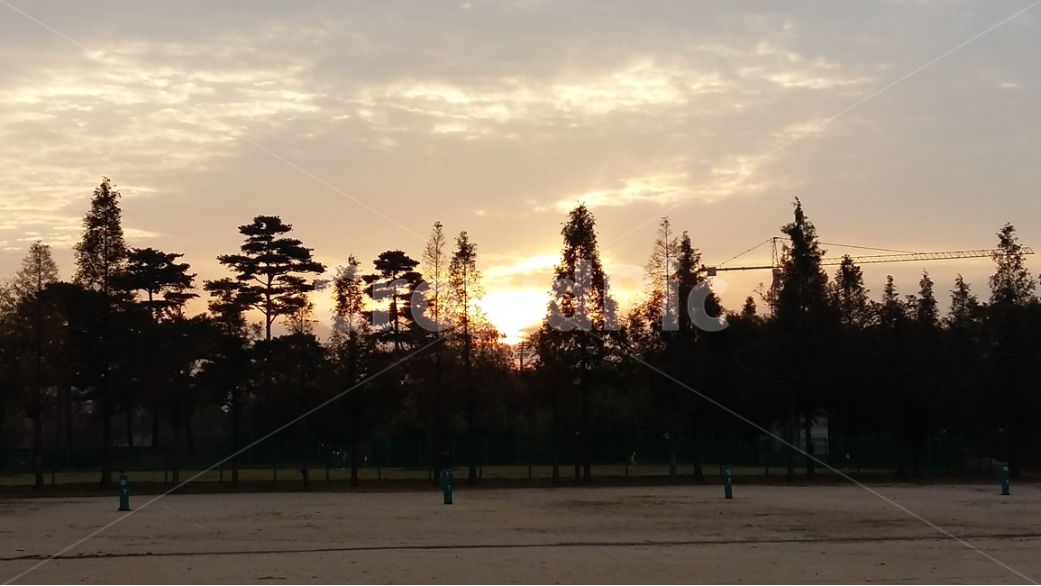 일출,나무,구름,하늘,자연,풍경,tree,sky,cloud,sunrise,nature,scenery,자연,풍경,nature,landscape,plant,식물,outdoors,옥외