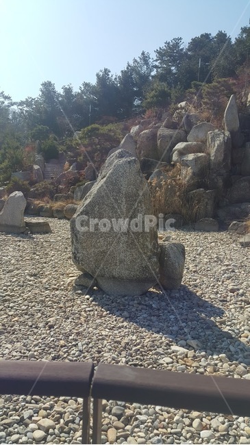 rock,록,돌,바위,자갈,나무
