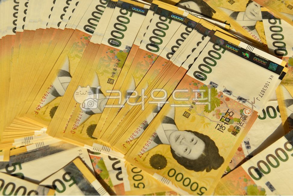 지폐,돈,오만원,5만원,한국돈,신사임당,money