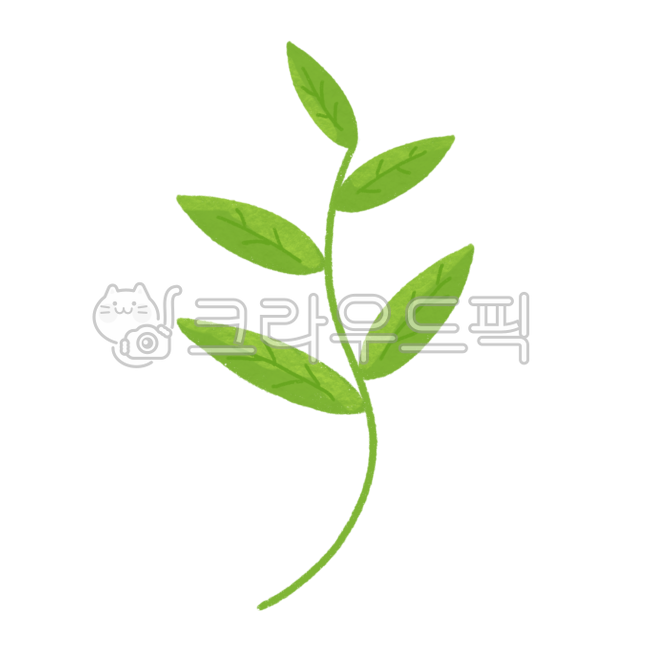 잎, 나뭇잎, 식물, leaf, plants, 사진,이미지,일러스트,캘리그라피 - 25mmmg작가