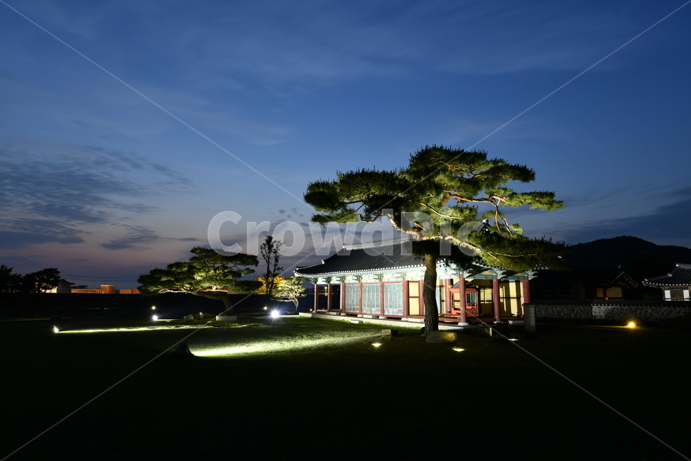 야경,일몰,나무,궁,잔디,야경,밤,풍경,nightscape,night,landscape,한국전통,한국문화,korean traditional,korean culture,건축물,건물외관,exterior,building,structure,architecture,construction