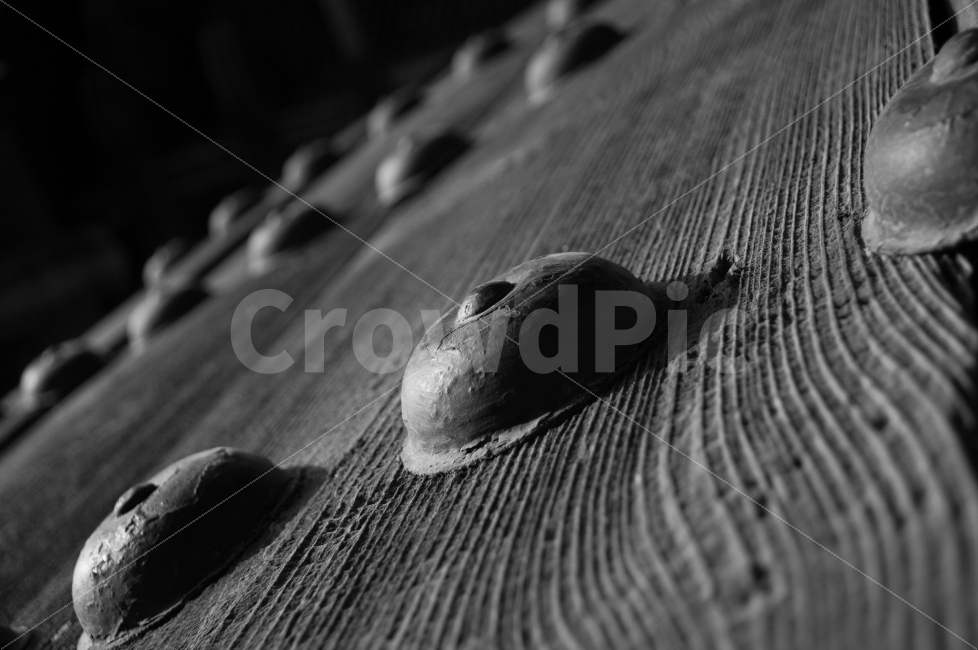문화재,창경궁,문,장식,나무,나무결,흑백,NikonD90,한국전통,한국문화,korean traditional,korean culture,흑백,모노톤,monochrome,black and white,텍스처,질감,패턴,texture,pattern
