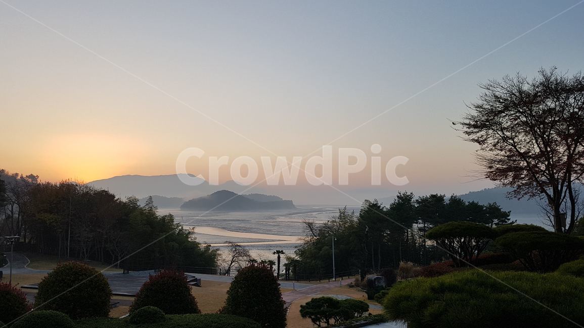 아침,일출,바다,물안개,정원,거제,geojemorning,sunrese,sea,waterfog,garden,nature,자연,outdoors,전나무,옥외,식물,plant,tree,나무
