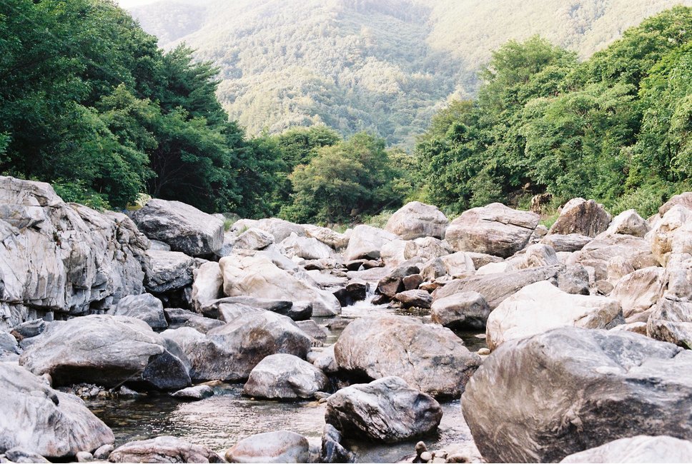 nature,자연,mountain,나무,tree,산,풍경,landscape,scenery,outdoors,자연,풍경,nature,landscape