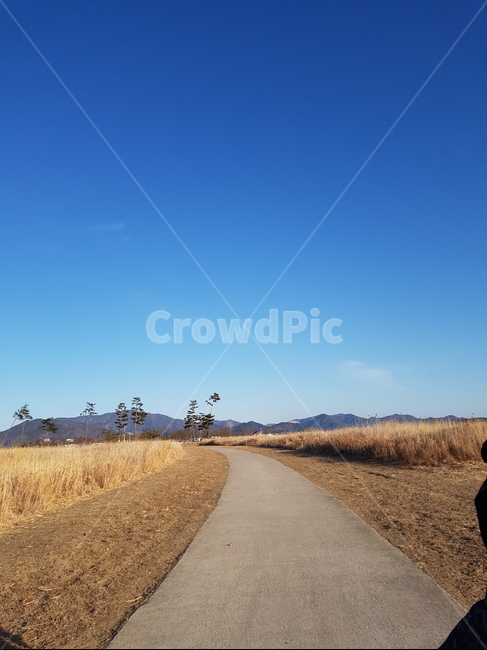 흙길,자연,도로,road,하늘,갈대