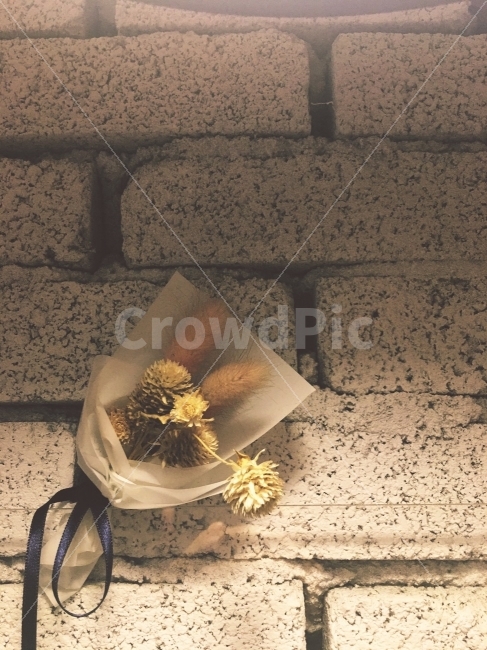 꽃다발,드라이플라워,필름카메라,벽돌벽,선물,식물,자연,plants,nature,꽃,flower,인테리어,실내디자인,interior design
