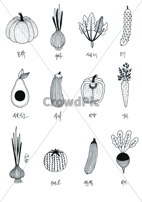 손그림,handdrawing,팬그림,팬라인,pen,penline,penpicture,pendrawing,호박pumpkin,squash,애호박,zucchini,양파,onion,가지,시금치,spinach,파프리카,paprika,paprica,당근,carrot,eggplant,야채,vegetable,greens,veggie,aubergine,오이,아보카도,avocado,식물,cucumber,채소