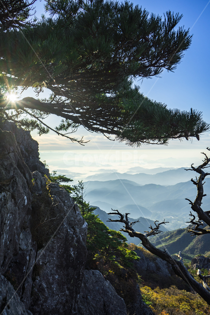가야산,소나무,국립공원,칠불봉,가야산국립공원,기암절벽,운해,자연,풍경,nature,landscape,한국자연풍경,한국자연경관,korea nature landscape,outdoors,옥외,scenery