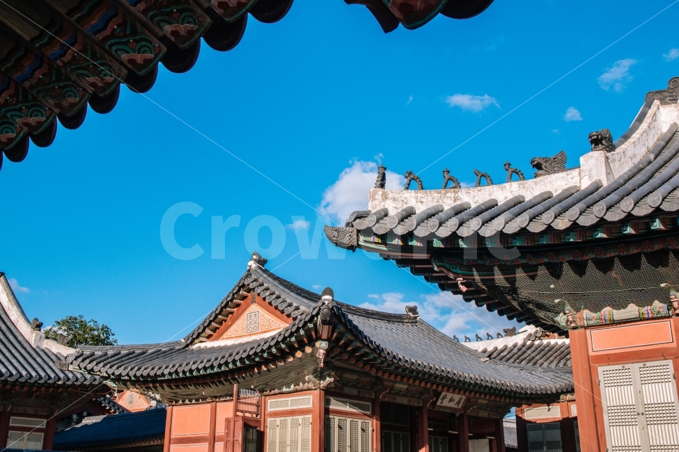 경복궁,기와,전통,궁궐,궁,서울,한국,한국적,처마,korea,seoul,koreatraditional,traditional,beautiful,palace,koreapalace,하늘,가을하늘,어처구니,랜드마크,landmark,tourist attraction,한국전통,한국문화,korean traditional,korean culture