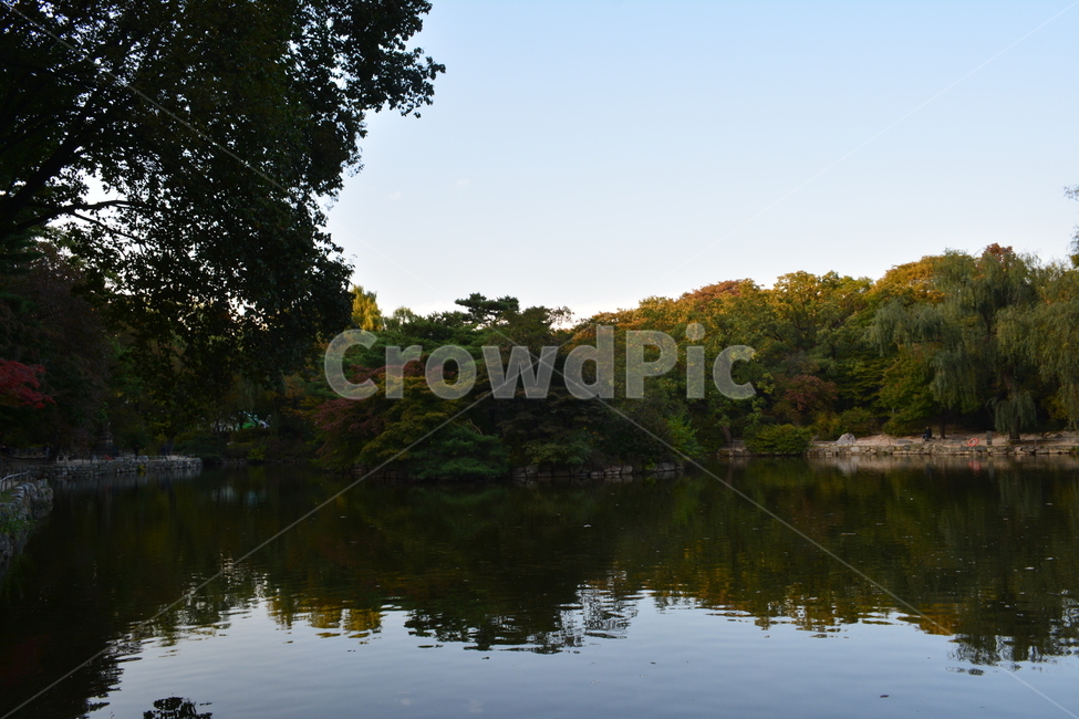창경궁,춘당지,호수,산책로,풍경,평온함,전통,하늘,자연,풍경,nature,landscape,water,물,outdoors,옥외