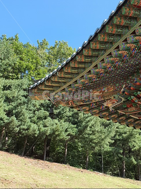 한옥,절,한국,전통,배경,한국전통,한국문화,korean traditional,korean culture,건축물,건물외관,exterior,building,structure,architecture,construction