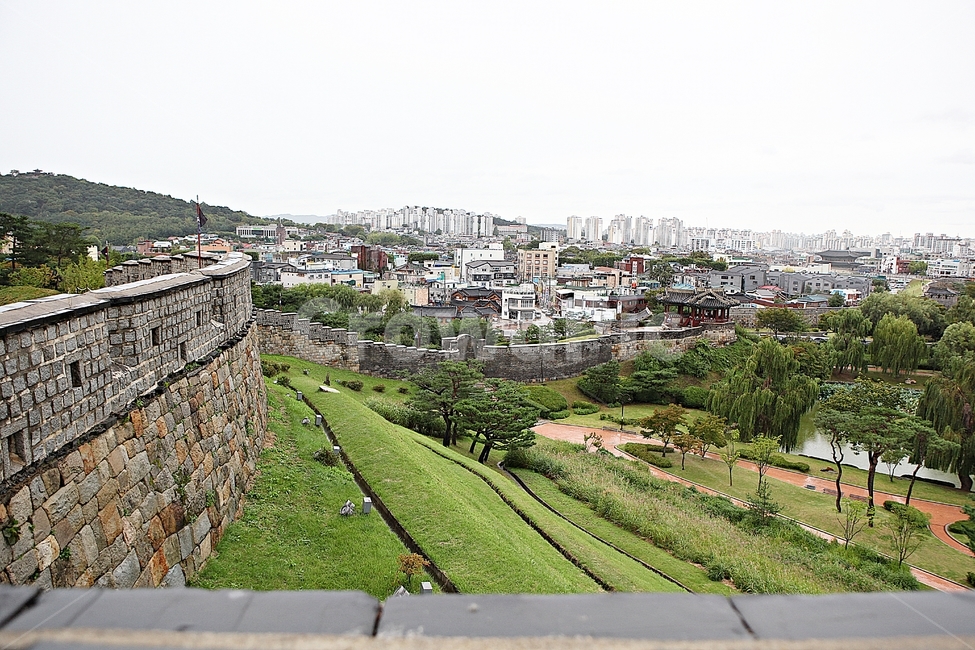 수원화성,성,성곽,길,둘레길,돌담,담,가을,자연,풍경,벽,방어벽,흙담,식물,전통,한국전통,한국문화,korean traditional,korean culture