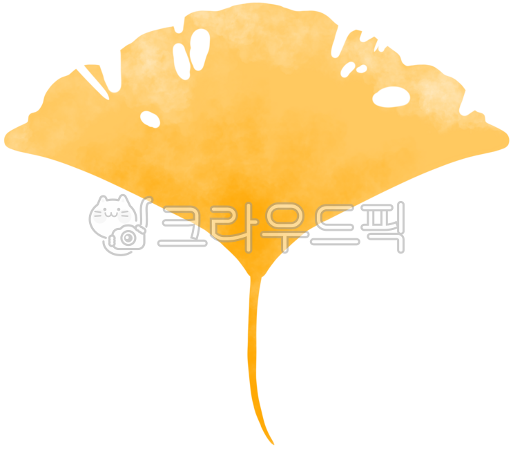 구멍난낙엽,나뭇잎,낙엽구멍,벌레먹은낙엽,구멍뚫린낙엽,구멍낙엽,단풍,단풍잎,수채화,수채단풍잎,수채화단풍잎,가을,예쁜단풍잎,가을감성,낙옆,낙엽,예쁜낙엽,예쁜낙옆,단풍축제